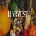 9.30 Joint Harvest Festival Service